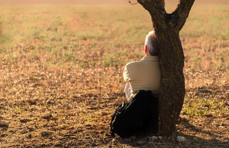 Pensioni INPS: quali pensionati non ricevono la quattordicesima