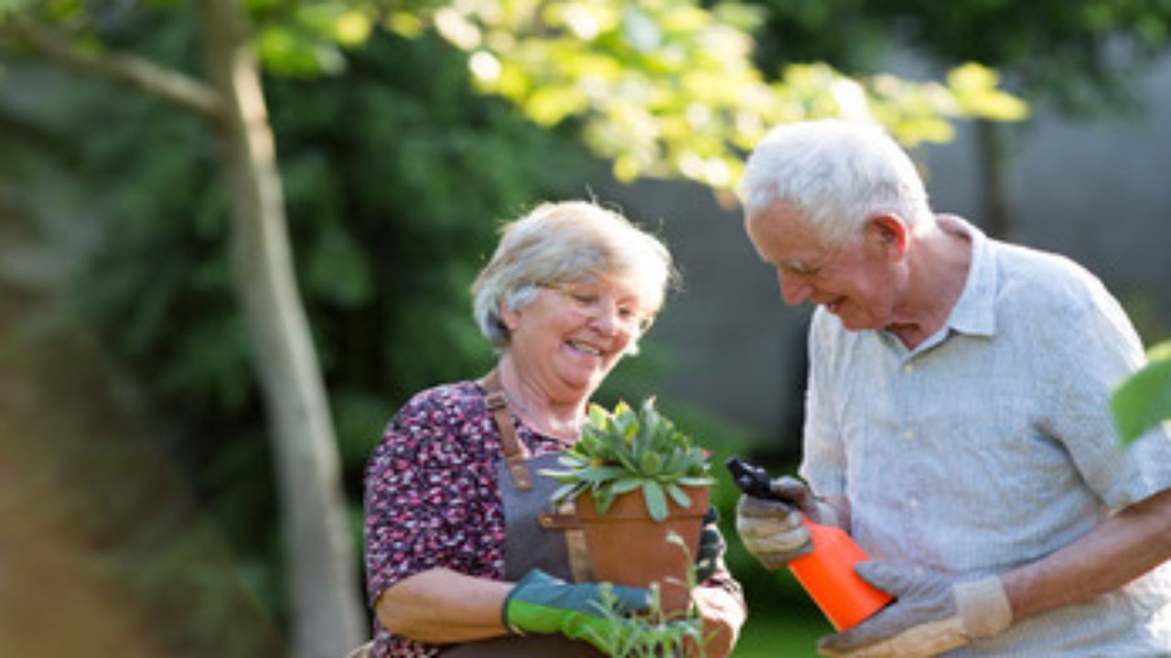 Pensionati giardinaggio attrezzi