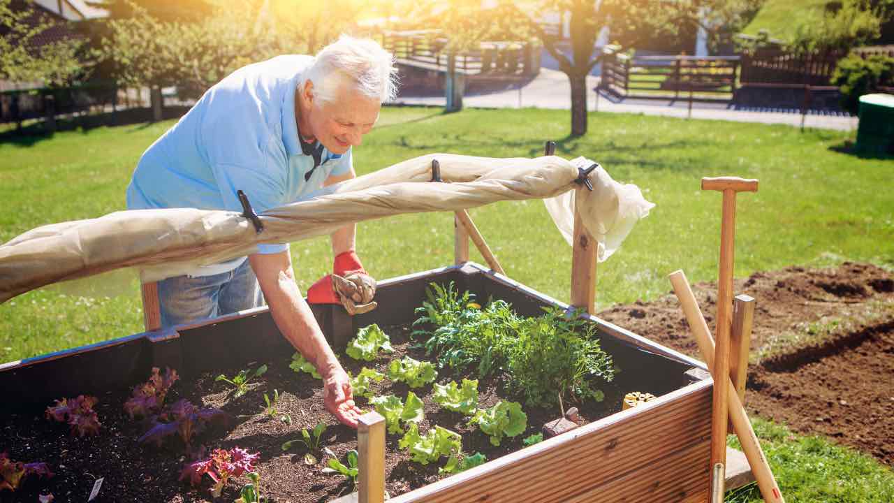 con un giardino la pensione si passa così