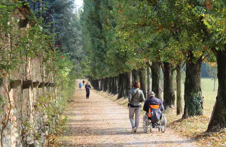 Lavoratori domestici esclusi AUU